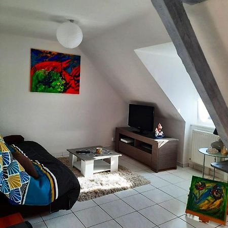 Appartement Spacieux A Ingersheim Avec Vue Sur Jardin 100 M² Zewnętrze zdjęcie
