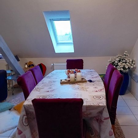Appartement Spacieux A Ingersheim Avec Vue Sur Jardin 100 M² Zewnętrze zdjęcie