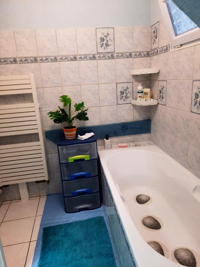 Appartement Spacieux A Ingersheim Avec Vue Sur Jardin 100 M² Zewnętrze zdjęcie