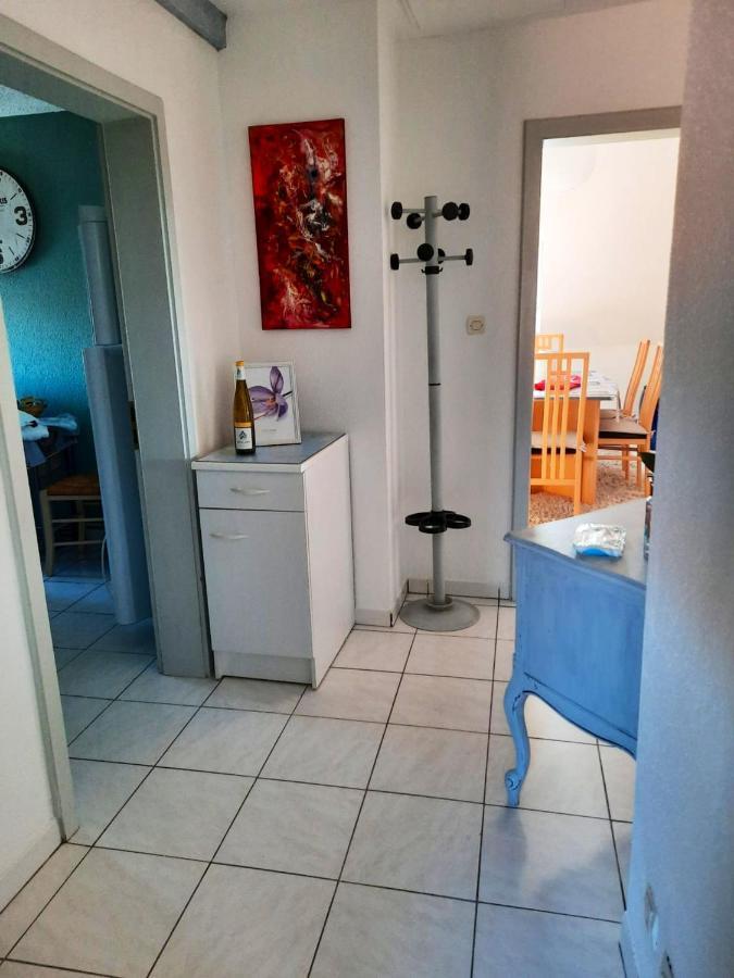 Appartement Spacieux A Ingersheim Avec Vue Sur Jardin 100 M² Zewnętrze zdjęcie